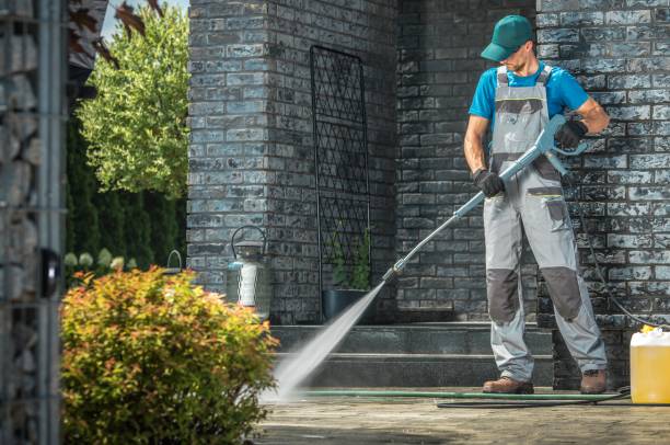 Best Solar Panel Cleaning  in Canton, IL