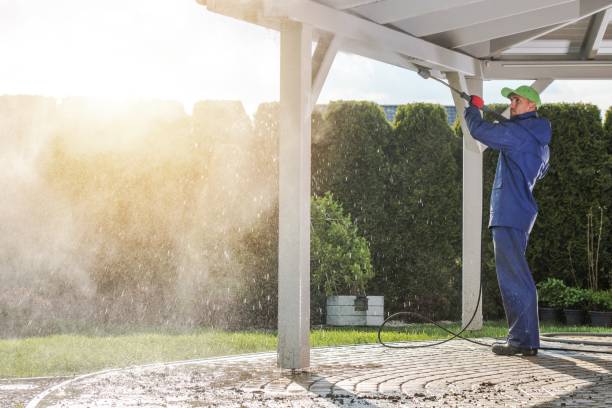 Pre-Holiday Cleaning in Canton, IL